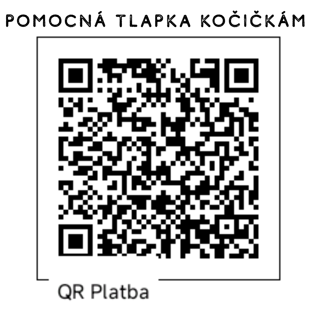 QR web
